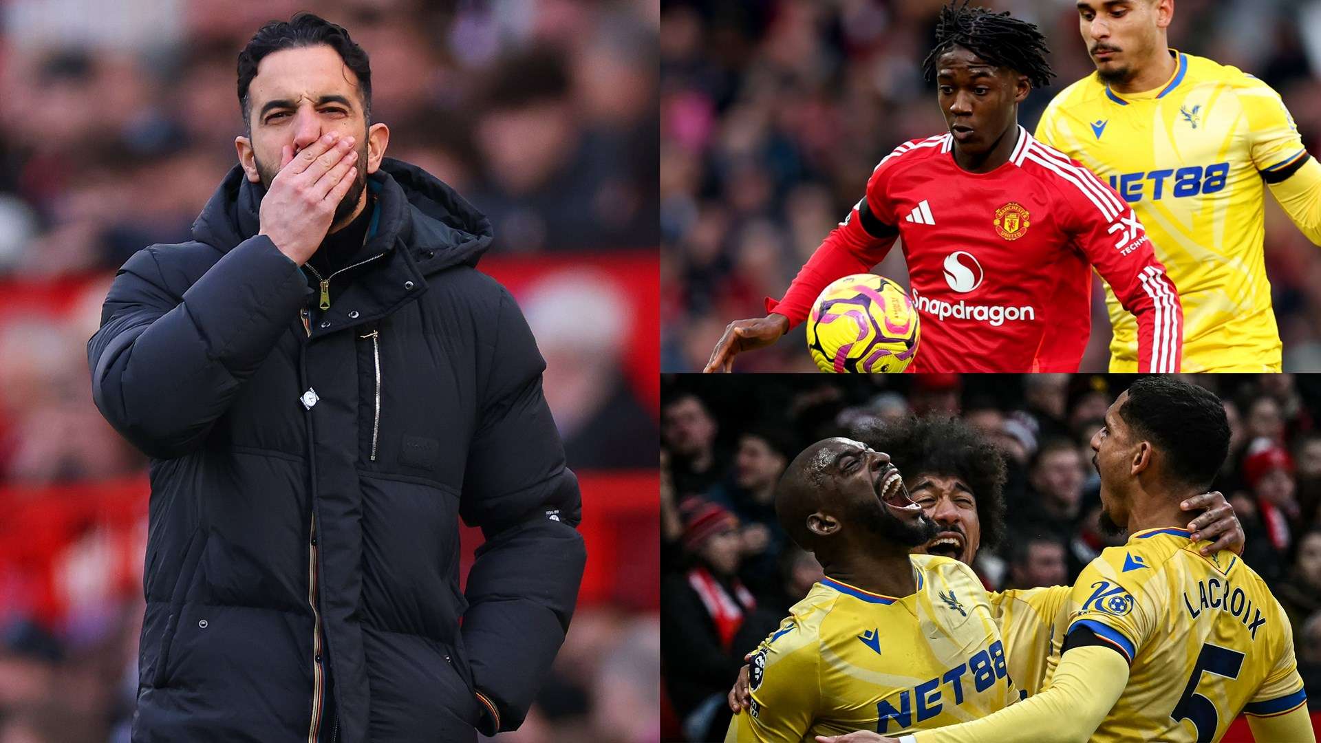 她们的唯一 她们的唯一